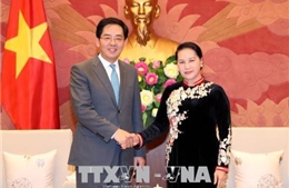Chủ tịch Quốc hội tiếp Đại sứ Trung Quốc Hồng Tiểu Dũng